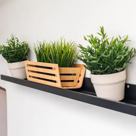 Mestalla River Appartement *