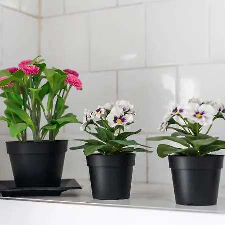 דירה Mestalla River ולנסיה