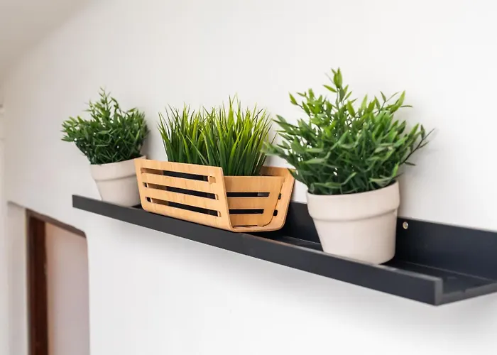 Mestalla River Apartman *