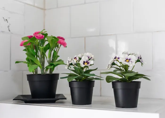 Apartman Mestalla River Valencia